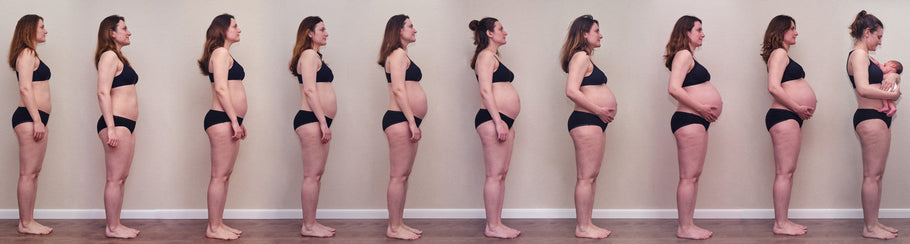 Pregnancy Stages Explained: Symptoms, Emotions, and What You Need to Know